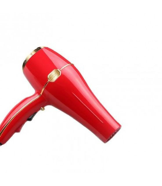 قیمت سشوار انزو حرفه ای ENZO 👈 مدل EN-6119