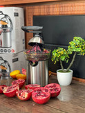 خرید مرکبات گیری سیلور کرست