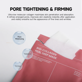 خرید ماسک ورقه ای بایودنس مدل بیو کلاژن