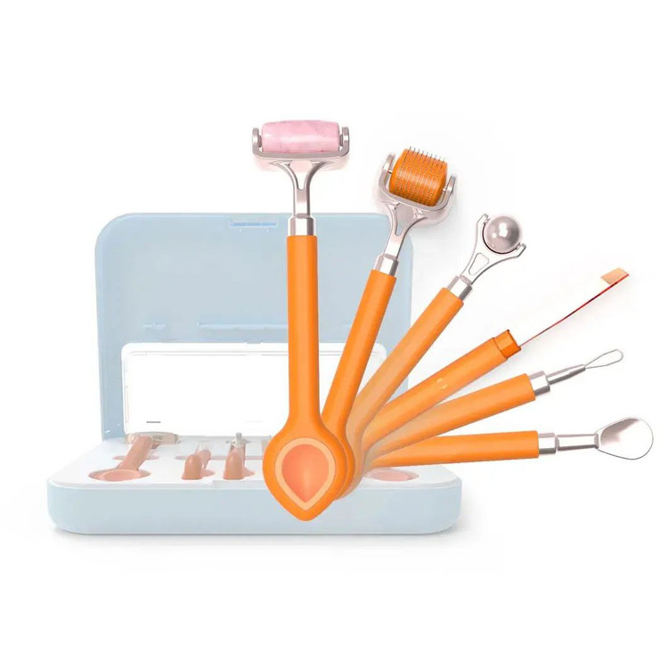 کیفیت تضمینی ست 6تکه پاکسازی پوست Ermaltools